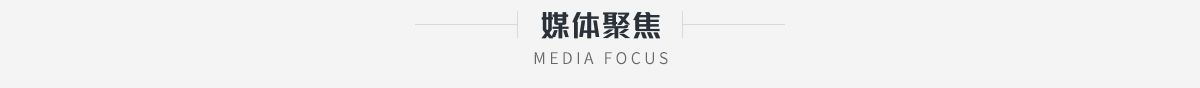 维雪国际